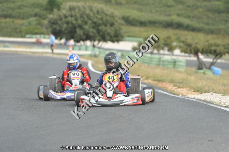 DSC (3877).JPG